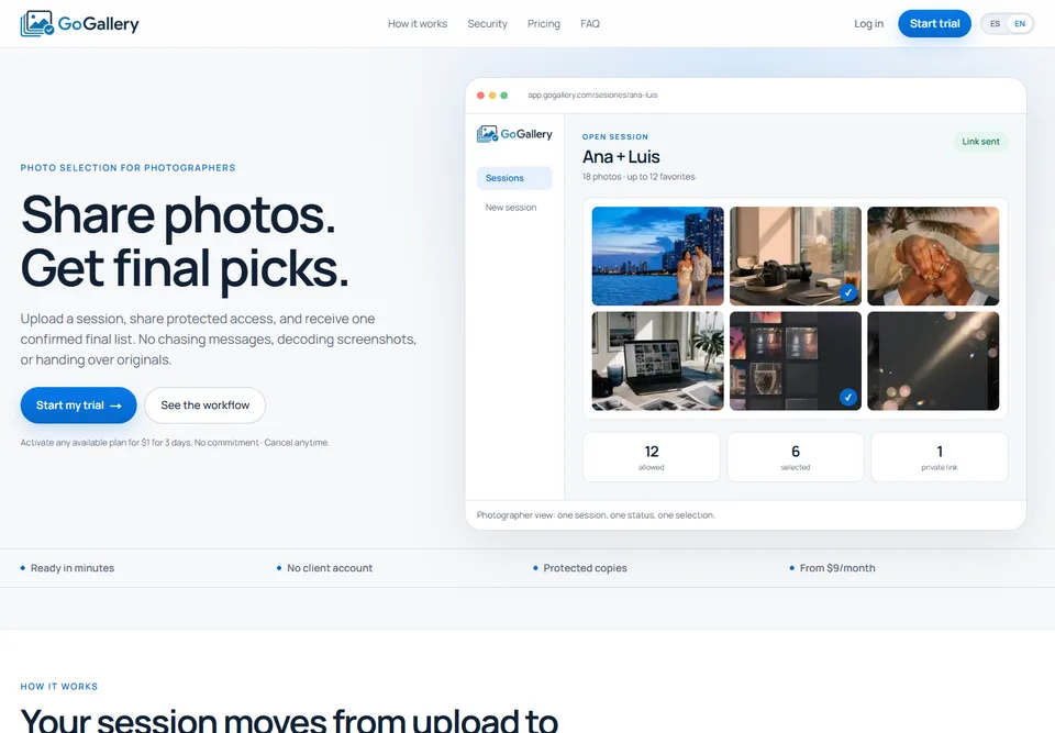 GoGallery website preview